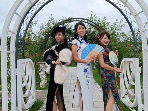 臺北玫瑰園絕美的花海，吸引許多女性來訪拍下迷人的身影。(圖片來源：臺北市政府工務局公園路燈工程管理處)