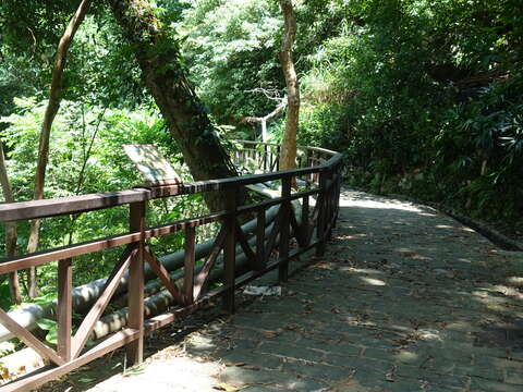 照片7　溪山百年古圳-樹蔭步道 大自然的教室