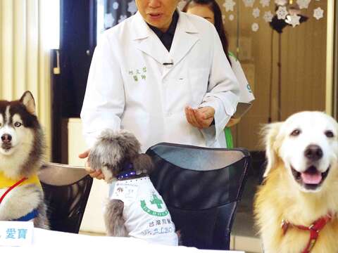 流浪毛小孩摘星計畫與「台灣狗醫生協會」合作，從動物之家篩選個性適合進入家庭並具有潛在特質可以成為狗醫生的流浪犬。（圖／台北市動物保護處提供）