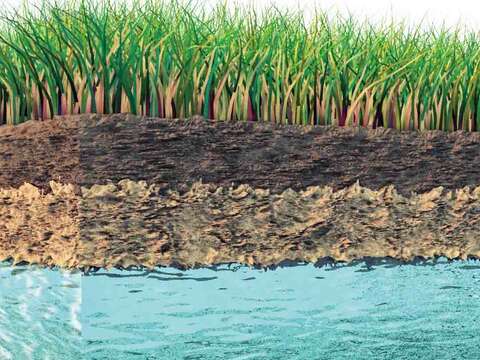 穩定的砂質土壤層與地下水層