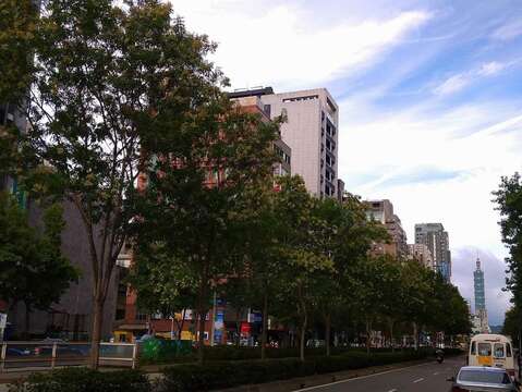 信義路景觀橫貫東區永康國際商圈、臨江街及通化夜市商圈、信義商圈等(圖片來源：臺北市政府工務局公園路燈工程管理處)