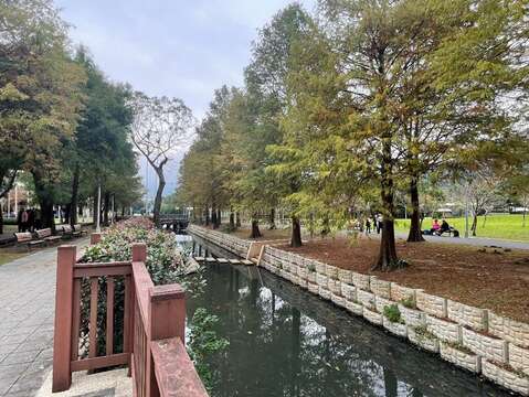 靜謐溪畔步道，落羽松林展現冬日金黃美景(圖片來源：臺北市政府工務局公園路燈工程管理處)