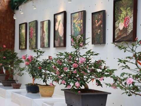 2024臺北茶花展花卉中心展覽館一隅(圖片來源：臺北市政府工務局公園路燈工程管理處)