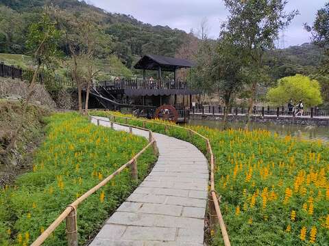 明鏡池步徑(圖片來源：臺北市政府工務局大地工程處)