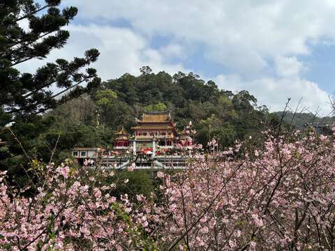 新春到指南宮祈求平安順遂(圖片來源：臺北市政府工務局大地工程處)