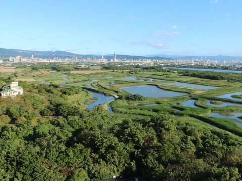 關渡自然公園是星級濕地教育活動中心(圖片來源：臺北市動物保護處)