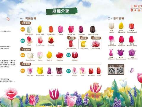 來到「詩情花意」展區可以看到來自荷蘭的鬱金香品種介紹及瞭解鬱金香栽培相關知識(圖片來源:臺北市政府工務局公園路燈工程管理處)