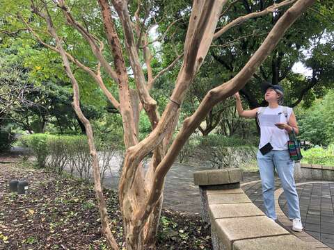 環教闖關學習森林知識(圖片來源：臺北市政府工務局大地工程處)