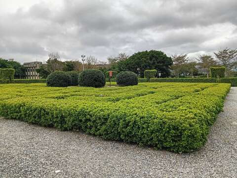 新生園區藏有充滿樹蘭清香的迷宮花園。(圖片來源：臺北市政府工務局公園路燈工程管理處)