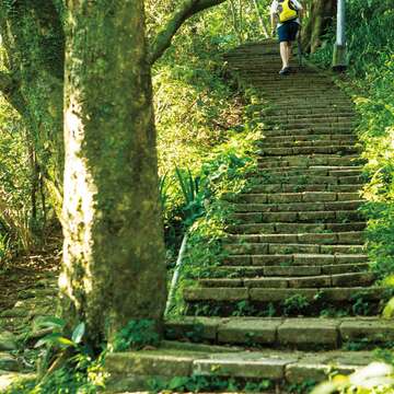 炎炎夏日，台北近郊的親山步道與自然公園是最佳避暑良方。（施純泰攝）