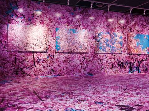 東日本大震災後、蜷川さんは2,500枚の桜の写真を撮影。それらの写真だけで構成した写真集「桜」を発表しました