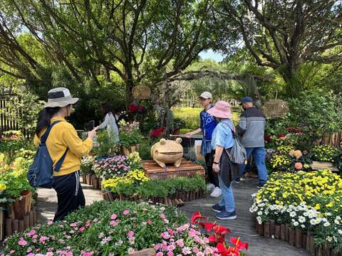 ツツジ祭り「安森の冠」が花畑の新たなランドマークに