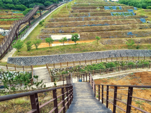 鵝尾山梯田風光(圖片來源：臺北市政府工務局大地工程處)