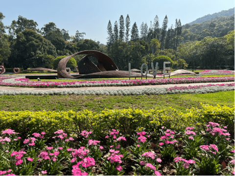 主題園內草花交織的詩意風景(圖片來源：臺北市政府工務局公園路燈工程管理處)