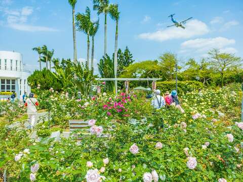 園區8成花開，五彩斑斕滿滿春意(圖片來源：臺北市政府工務局公園路燈工程管理處)