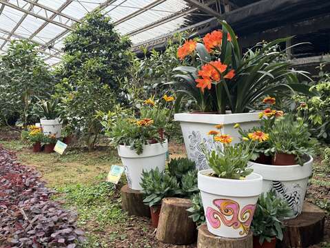 回收材料創意再製，花器與花卉相輝相映，展現永續之美。(圖片來源：臺北市政府工務局公園路燈工程管理處)
