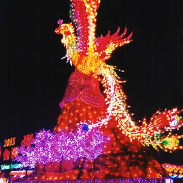 去年台灣燈會的副燈「鳳凰嬉春」，是陳祖榮花燈創作生涯的最大挑戰。（陳祖榮提供）