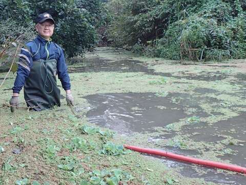 林雍善隊長帶隊下水清除外來種。(圖片來源：臺北市政府工務局公園路燈工程管理處)