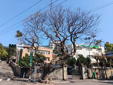 從郵政訓練所旁巷道向上可到達步道口(圖片來源：臺北市政府工務局大地工程處)