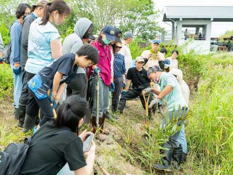 陳德鴻老師仔細講解鹵蕨分株的方法(圖片來源：臺北市政府工務局水利工程處)