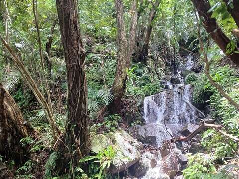 照片7 溪水從岩石間奔流而下的天然瀑布