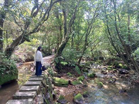 水車寮水圳步道,伴隨著潺潺錞流水步行(圖片來源:臺北市政府工務局大地工程處)