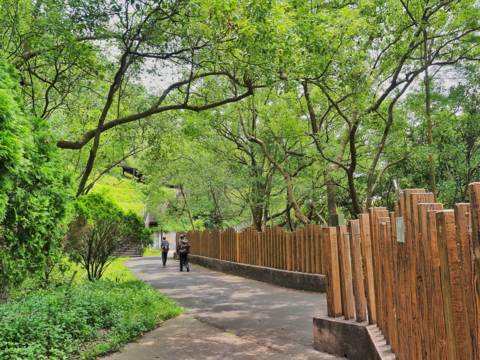 貴子坑水保園區園內步道(圖片來源:臺北市政府工務局大地工程處)