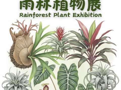 士林官邸での『熱帯雨林植物展』