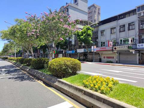 羅斯福路中央分隔島上黃色的雞冠花、杜鵑與紫薇交織，地景立體豐富，展現視覺層次(圖片來源：臺北市政府工務局公園路燈工程管理處)