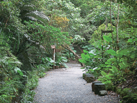 P10-13 風格山旅-2-富陽自然生態公園讓人暫離都市喧囂，沉浸在滿山綠意中。（攝影／鄒保祥）
