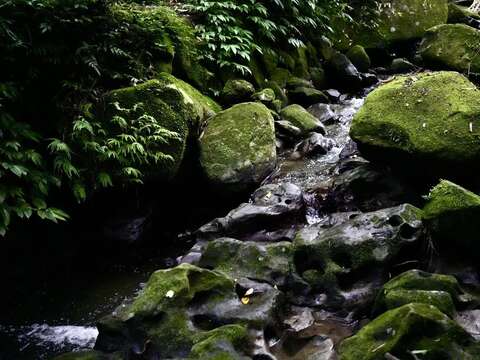 凹凸不平的壺穴景觀(圖片來源：臺北市政府工務局大地工程處)