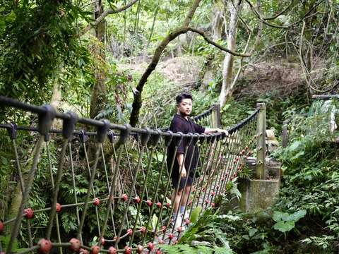 壺穴吊橋(圖片來源：臺北市政府工務局大地工程處)