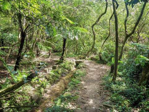 雙溪溝古道(圖片來源：臺北市政府工務局大地工程處)
