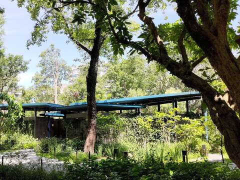 大安森林公園1號公廁-外牆披覆植生,使廁所隱沒於綠帶之中(圖片來源：臺北市政府工務局公園路燈工程管理處)