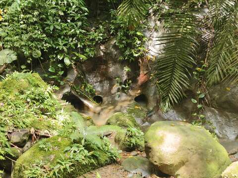 豹山溪河床(圖片來源：臺北市政府工務局大地工程處)
