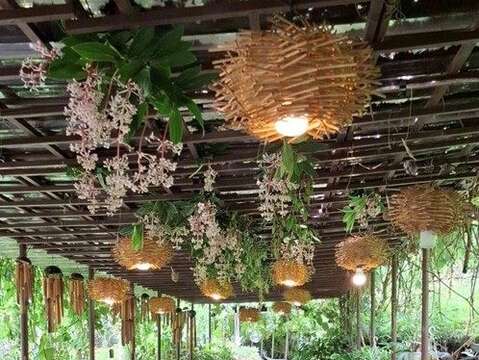 每個轉角都像藏著一幅會呼吸的風景畫(圖片來源：臺北市政府產業發展局)