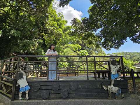 站在百年無患子平台(圖片來源：臺北市政府工務局大地工程處)