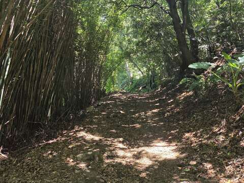 橫嶺古道(圖片來源：臺北市政府工務局大地工程處)