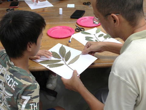 運用臘葉標本的技法讓植物裝飾在生活之中-(圖片來源:臺北市政府工務局公園路燈工程管理處)