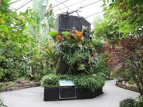 臺北典藏植物園環境舒適適合市民前往休閒參觀。(圖片來源:臺北市政府工務局公園路燈工程管理處)