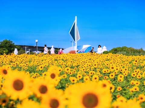 許多名眾前來觀賞(圖片來源:臺北市政府工務局大地工程處)