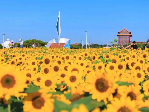 民眾於花海中(圖片來源:臺北市政府工務局大地工程處)