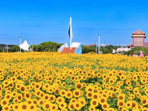 大佳河濱花海與眺望台(圖片來源:臺北市政府工務局大地工程處)