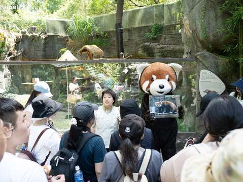 解說員介紹小貓熊(圖片來源：臺北市立動物園)