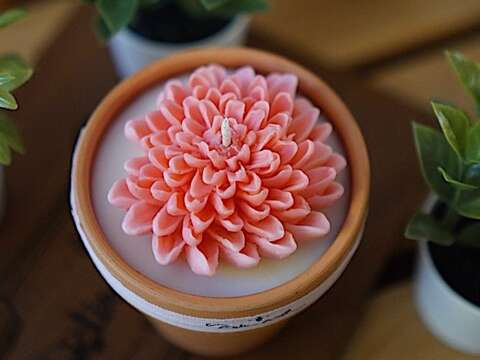 菊展與在地特色品牌合作,推出多款以菊花為靈感的主題商品與課程,讓花藝融入日常生活。Cristina Candle開發的菊花香氛蠟燭,收藏一份獨特的手作記憶