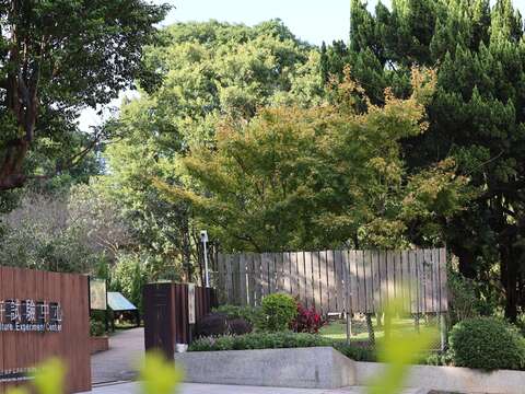 從大門口即可看見一株亮眼的黃金楓。(圖片來源：臺北市政府工務局公園路燈工程管理處)