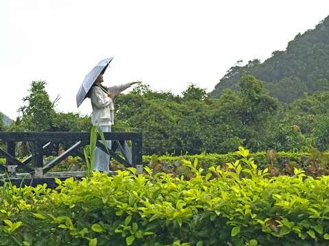 同心池近拍(圖片來源:臺北市政府工務局大地工程處)