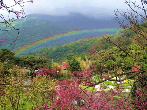 2026 양밍산 꽃시즌