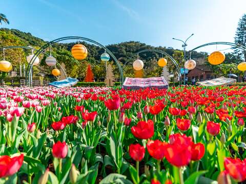 2026 CKS Shilin Residence Tulip Festival