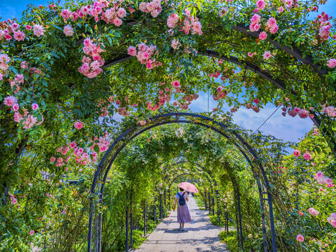 2026 Taipei Rose Festival